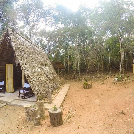 ホテル Hospedagem Aldeia Do Leao カロリナ エクステリア 写真