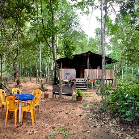 ホテル Hospedagem Aldeia Do Leao カロリナ エクステリア 写真