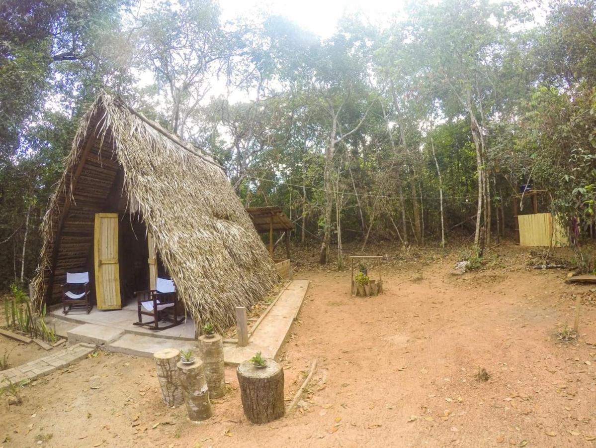 ホテル Hospedagem Aldeia Do Leao カロリナ エクステリア 写真
