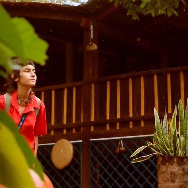 ホテル Hospedagem Aldeia Do Leao カロリナ エクステリア 写真