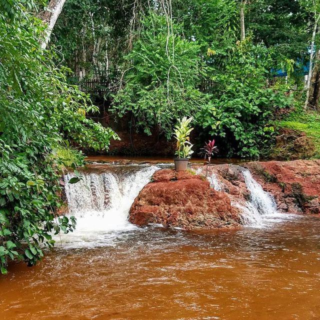 ホテル Hospedagem Aldeia Do Leao カロリナ エクステリア 写真